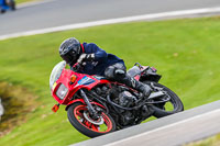 Oulton-Park-20th-March-2020;PJ-Motorsport-Photography-2020;anglesey;brands-hatch;cadwell-park;croft;donington-park;enduro-digital-images;event-digital-images;eventdigitalimages;mallory;no-limits;oulton-park;peter-wileman-photography;racing-digital-images;silverstone;snetterton;trackday-digital-images;trackday-photos;vmcc-banbury-run;welsh-2-day-enduro